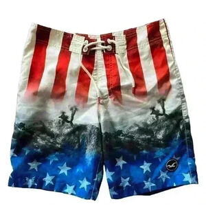 Hollister American Flag Stars and Stripes Beach Swim Trunks. Men's Size 30
